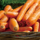 Vegetables carrot