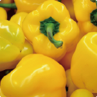 Vegetables pepper
